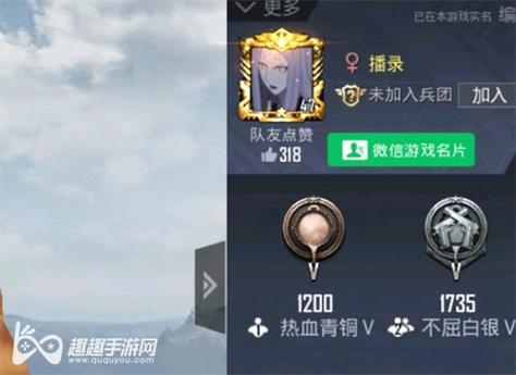 和平精英游戏运营商对待和平精英辅助的反作弊